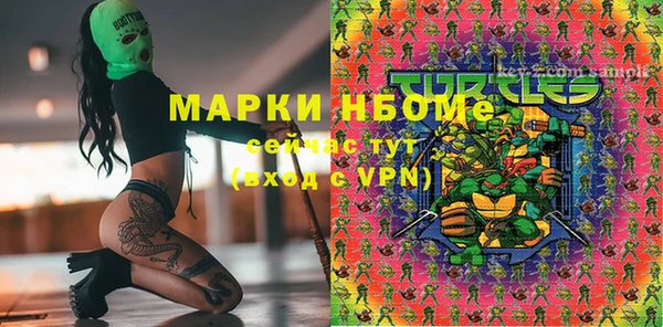 хмурый Богородск