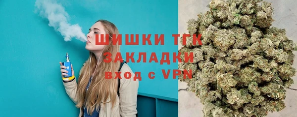 молекула духа Сосновоборск