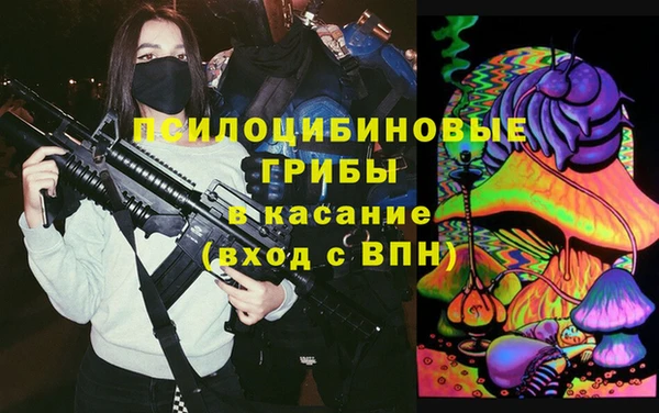 ешки Богородицк