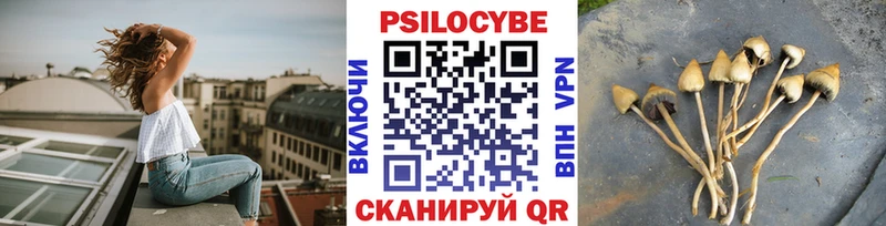 Псилоцибиновые грибы MAGIC MUSHROOMS  Дмитров 