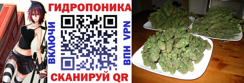 МАРИХУАНА тримм  это Telegram  Дмитров 